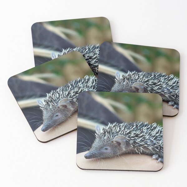 Item preview, Tenrec designed and sold by missmoneypenny.