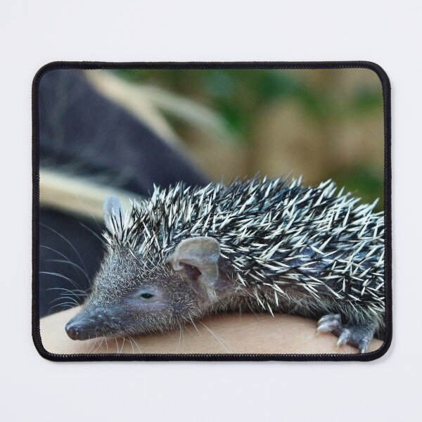 Item preview, Tenrec designed and sold by missmoneypenny.