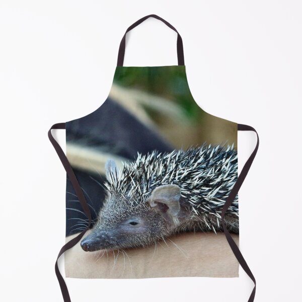 Item preview, Tenrec designed and sold by missmoneypenny.