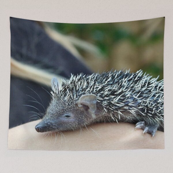 Item preview, Tenrec designed and sold by missmoneypenny.