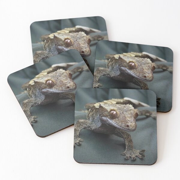 Item preview, Crested gecko designed and sold by missmoneypenny.