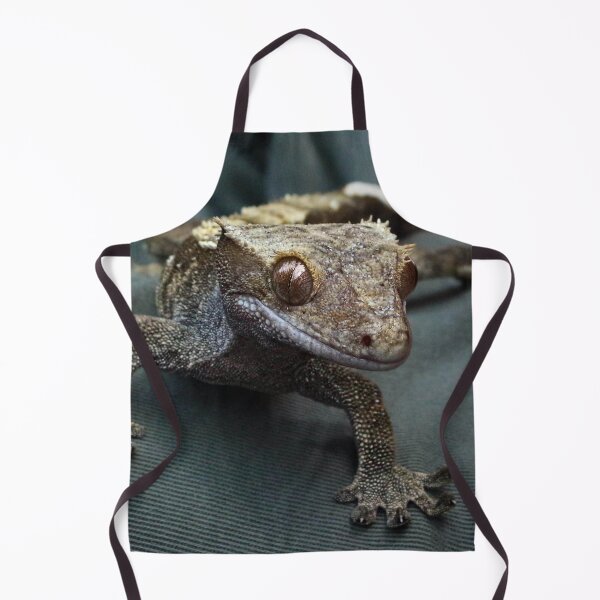 Item preview, Crested gecko designed and sold by missmoneypenny.