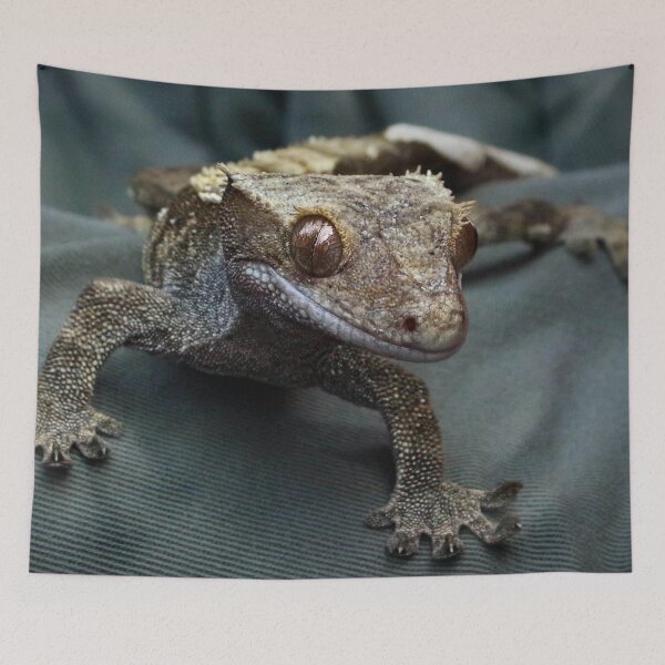 Item preview, Crested gecko designed and sold by missmoneypenny.