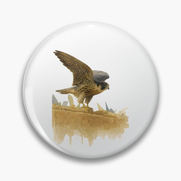 Item preview, Peregrine Falcon (Falco peregrinus) designed and sold by HOMETOWN86.
