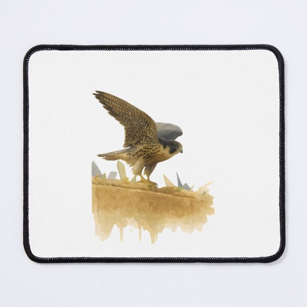 Item preview, Peregrine Falcon (Falco peregrinus) designed and sold by HOMETOWN86.