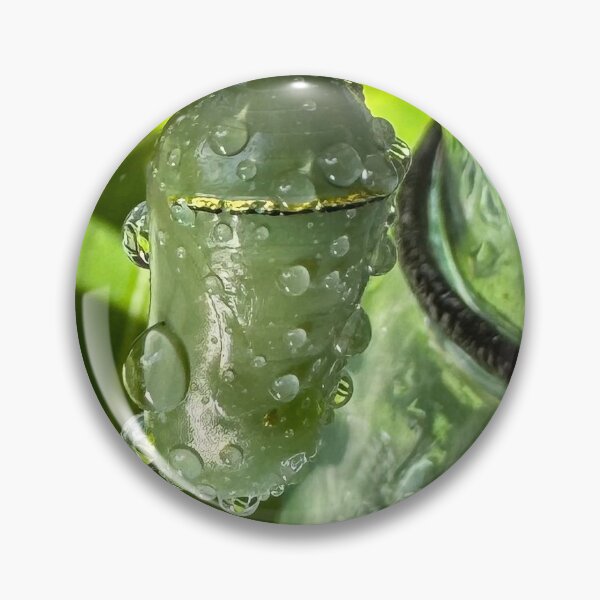 Item preview, Butterfly Chrysalis in Morning Light designed and sold by TrisaThyme.
