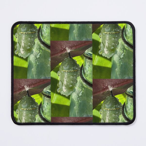 Item preview, Butterfly Chrysalis in Morning Light designed and sold by TrisaThyme.