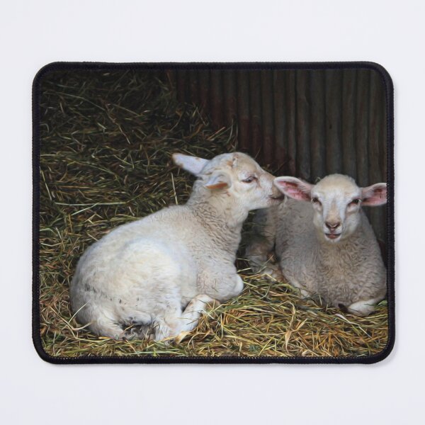 Item preview, Quite clearly an amusing secret designed and sold by missmoneypenny.