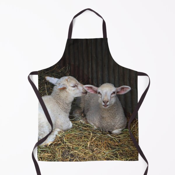 Item preview, Quite clearly an amusing secret designed and sold by missmoneypenny.