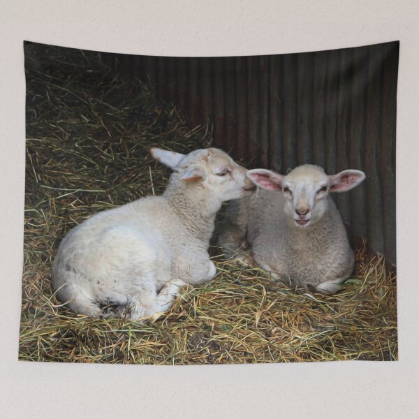 Item preview, Quite clearly an amusing secret designed and sold by missmoneypenny.