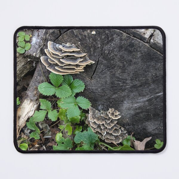 Item preview, Autumn Mushrooms designed and sold by arfff.