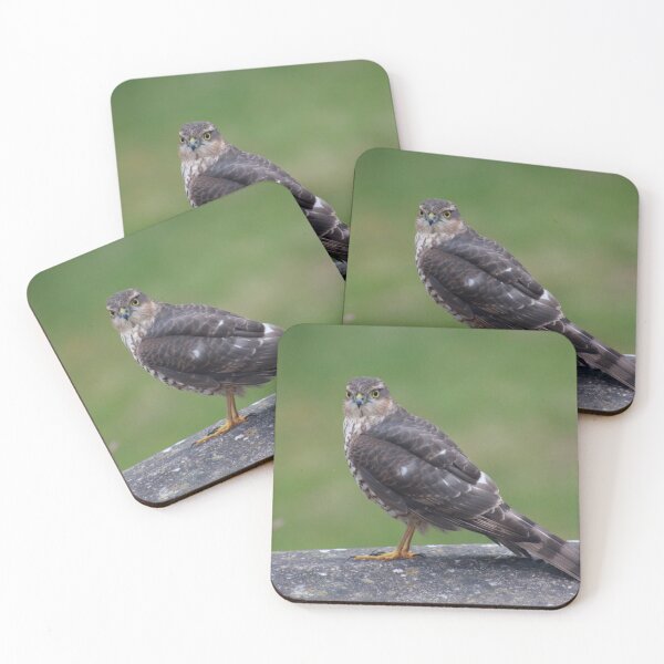 Item preview, Where have all the birds gone? designed and sold by missmoneypenny.