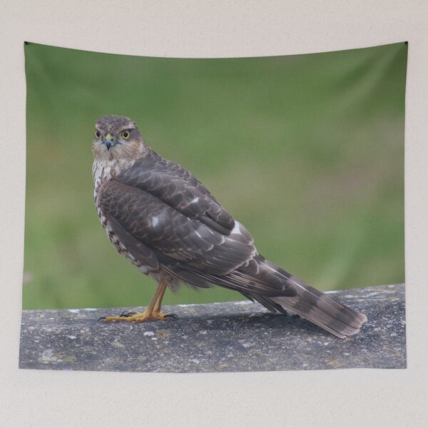 Item preview, Where have all the birds gone? designed and sold by missmoneypenny.