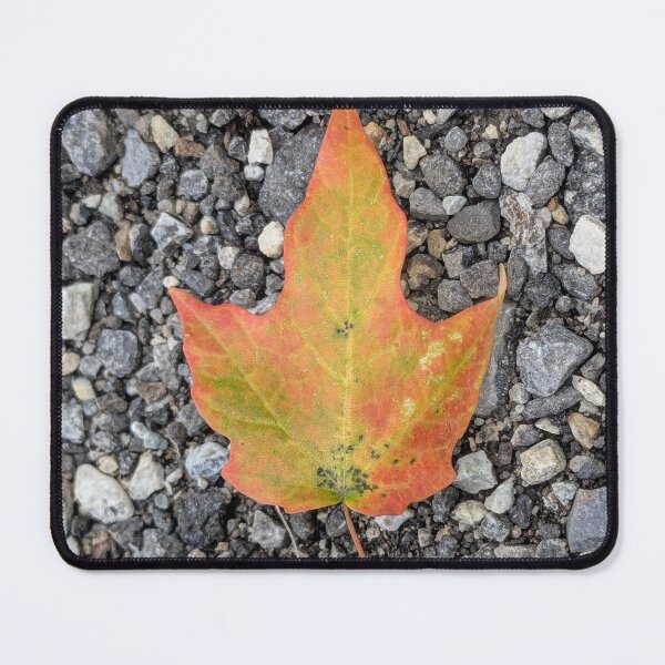 Item preview, Autumn Maple Leaf designed and sold by arfff.