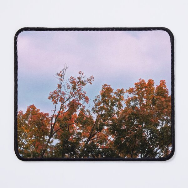 Item preview, Autumn Treetops designed and sold by arfff.