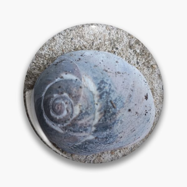 Item preview, Snail Shell on cement designed and sold by BigPhilly25.