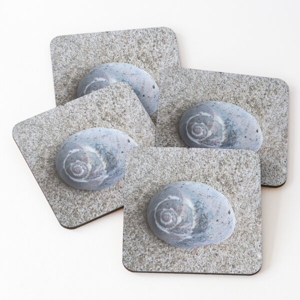 Item preview, Snail Shell on cement designed and sold by BigPhilly25.