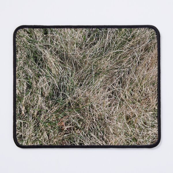 Item preview, Grass coming into season designed and sold by BigPhilly25.