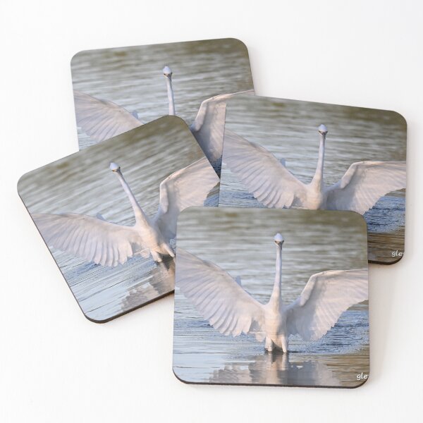 Item preview, Snowy Egret spreads its wings  designed and sold by Glennphotos.