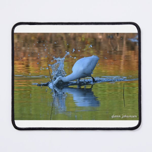 Item preview, Snowy Egret lunges for a fish designed and sold by Glennphotos.