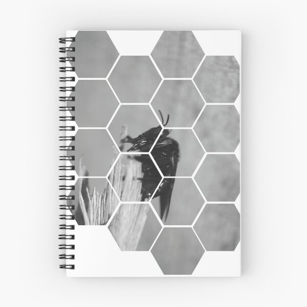Item preview, Carpenter Bee on Hexagons designed and sold by ROSE ANN BANILAR.