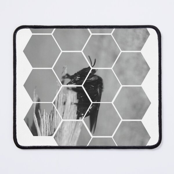Item preview, Carpenter Bee on Hexagons designed and sold by ROSE ANN BANILAR.