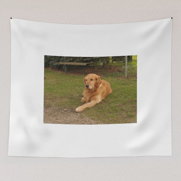 Aperçu de l'œuvre Golden Retriever créée et vendue par Prot.