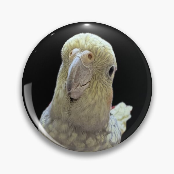 Item preview, Gussy da birb .5 designed and sold by Mysterious Goose .