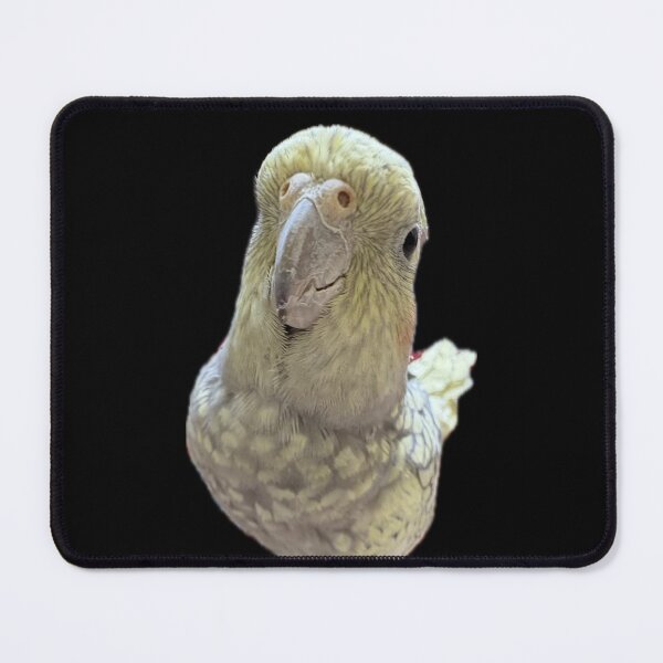 Item preview, Gussy da birb .5 designed and sold by Mysterious Goose .