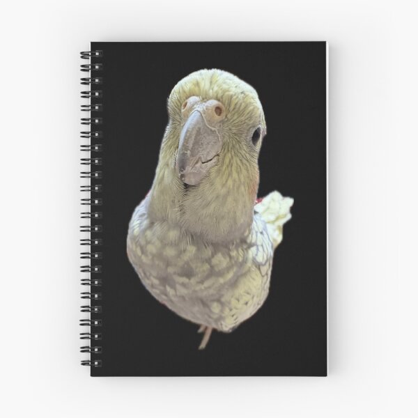 Item preview, Gussy da birb .5 designed and sold by Mysterious Goose .