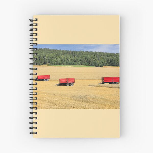 Artikelvorschau, Drei rote Anhänger im Feld entworfen und verkauft von Taina Sohlman.