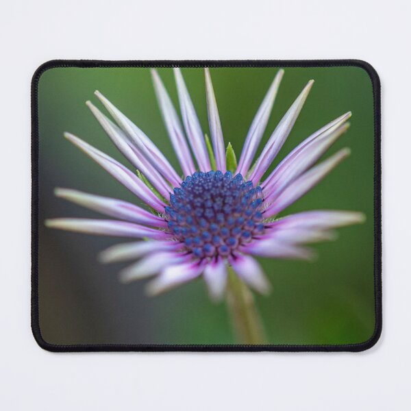 Item preview, Nature designed and sold by Sandy19687.