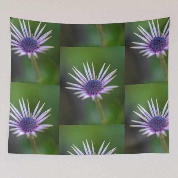 Item preview, Nature designed and sold by Sandy19687.