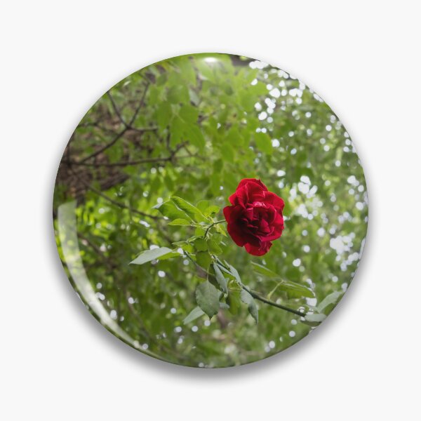Item preview, Solitary Red Rose Against Green Treetop Leaves designed and sold by Georgia Mizuleva.