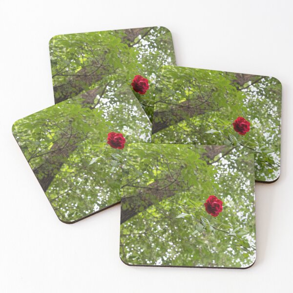 Item preview, Solitary Red Rose Against Green Treetop Leaves designed and sold by Georgia Mizuleva.