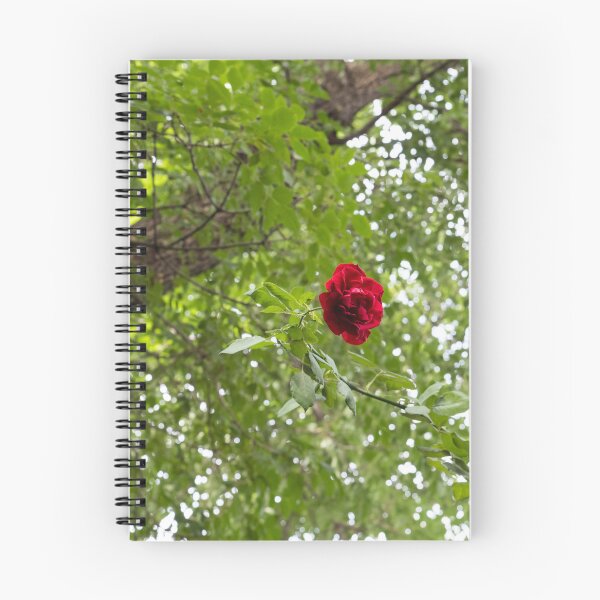 Item preview, Solitary Red Rose Against Green Treetop Leaves designed and sold by Georgia Mizuleva.