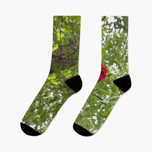 Item preview, Solitary Red Rose Against Green Treetop Leaves designed and sold by Georgia Mizuleva.