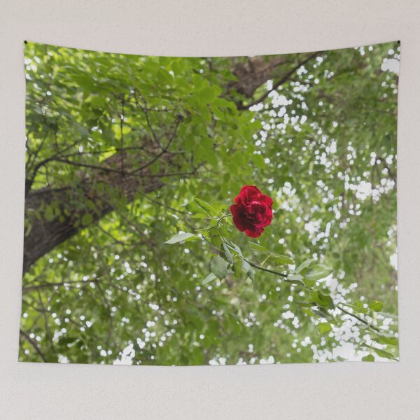 Item preview, Solitary Red Rose Against Green Treetop Leaves designed and sold by Georgia Mizuleva.