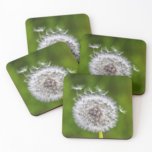 Item preview, Dandelion – Lightness & New Beginnings | Gift Idea with Nature Photography designed and sold by Katja LebenFreude.
