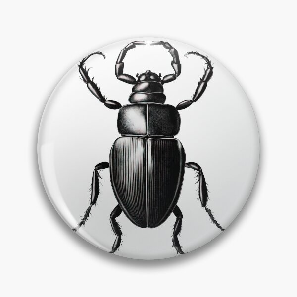Item preview, Vintage Entomology Beetle Art designed and sold by LanaGustavsson.