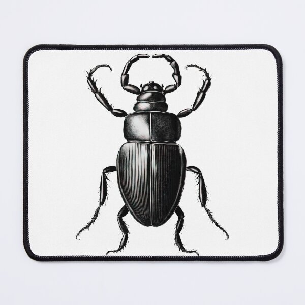 Item preview, Vintage Entomology Beetle Art designed and sold by LanaGustavsson.