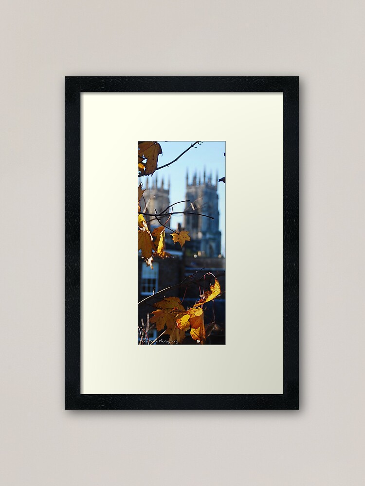 Alternate view of Autumn Leaves In York Framed Art Print