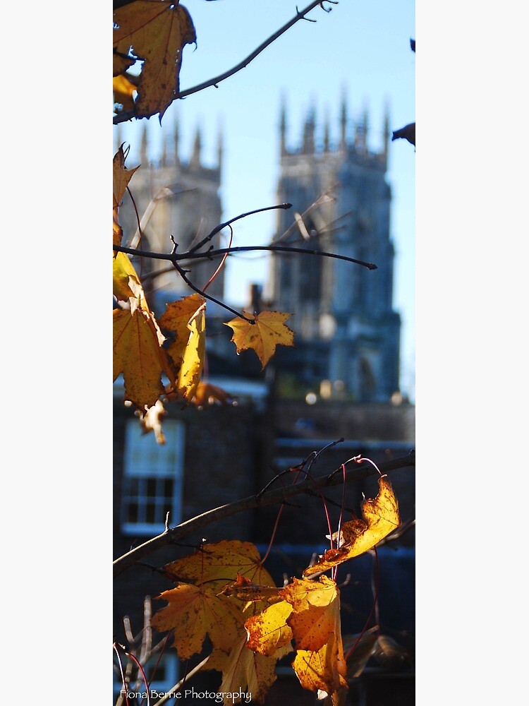 Autumn Leaves In York by berriephotos