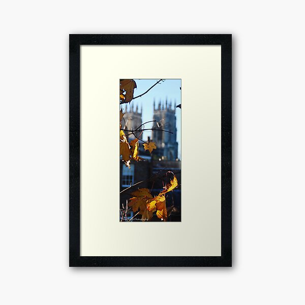 Autumn Leaves In York Framed Art Print