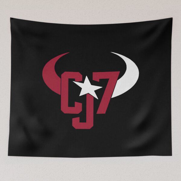 Item preview, Art - Houston Texans designed and sold by ModaDapper.