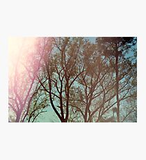 Flare Photographic Print