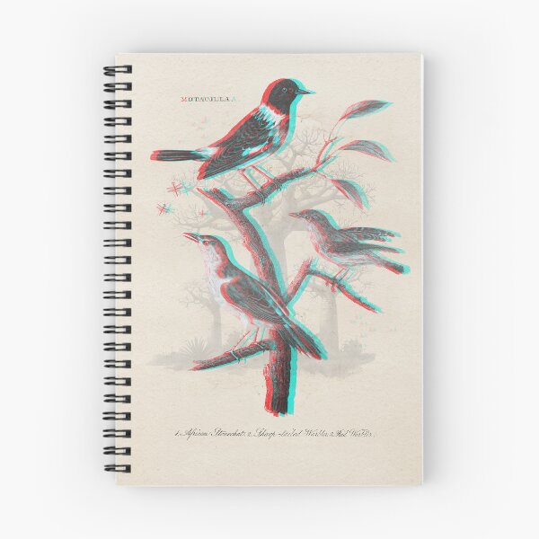 Item preview, 3D hand drawn antique illustration of African bird species designed and sold by CoreImaging.