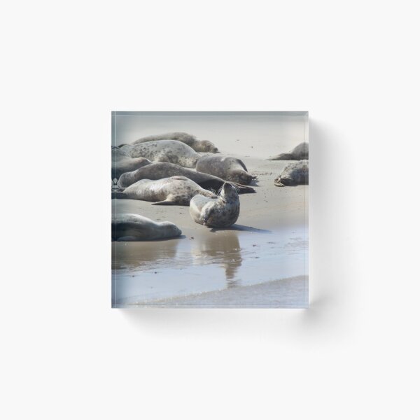 Item preview, Seals designed and sold by Marije Kouyzer.