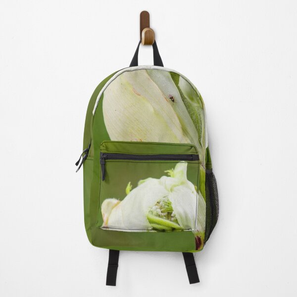Item preview, Bursting bud of the cow parsnip designed and sold by Photopat.