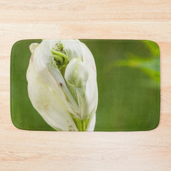 Item preview, Bursting bud of the cow parsnip designed and sold by Photopat.